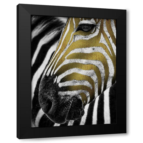Vibrant Zebra Black Modern Wood Framed Art Print with Double Matting by Prime, Marcus