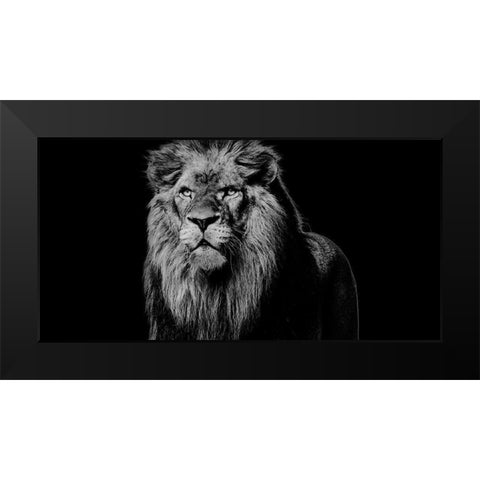 King Emerges 1 Black Modern Wood Framed Art Print by Prime, Marcus