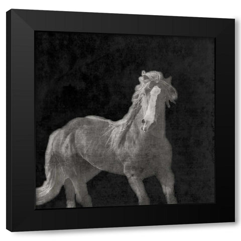 Midnight Run Black Modern Wood Framed Art Print with Double Matting by Prime, Marcus