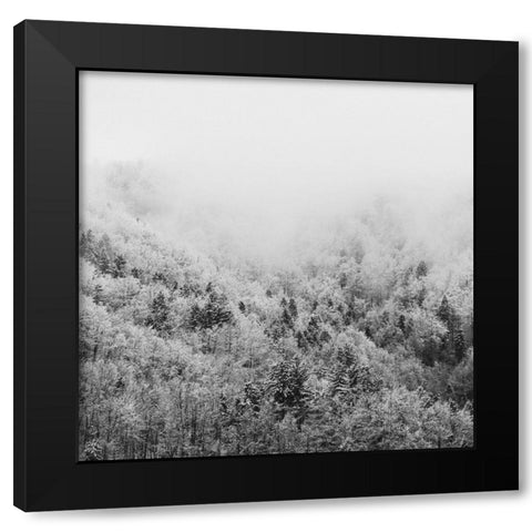 Winter Storm 1 Black Modern Wood Framed Art Print with Double Matting by Prime, Marcus