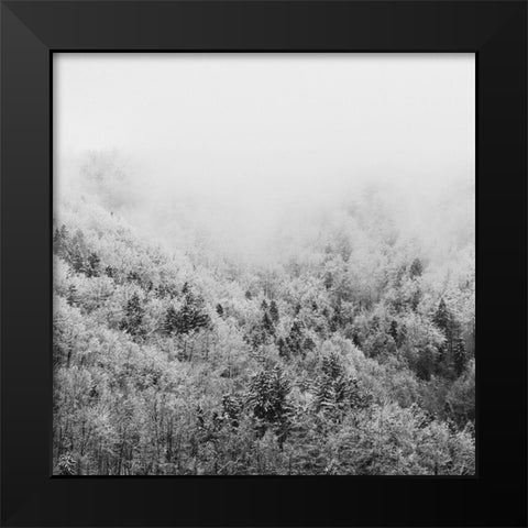 Winter Storm 1 Black Modern Wood Framed Art Print by Prime, Marcus