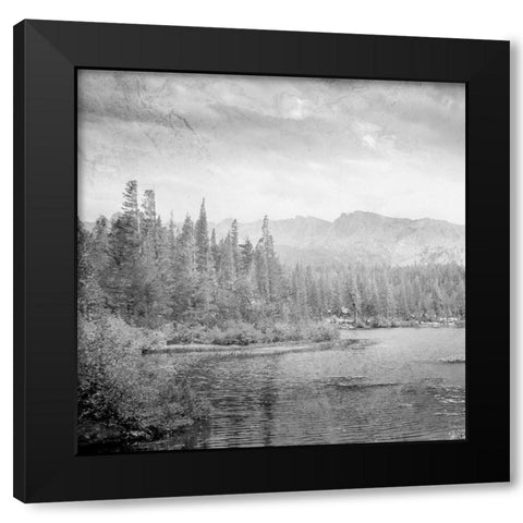 Vintage Wonders 1 Black Modern Wood Framed Art Print by Prime, Marcus