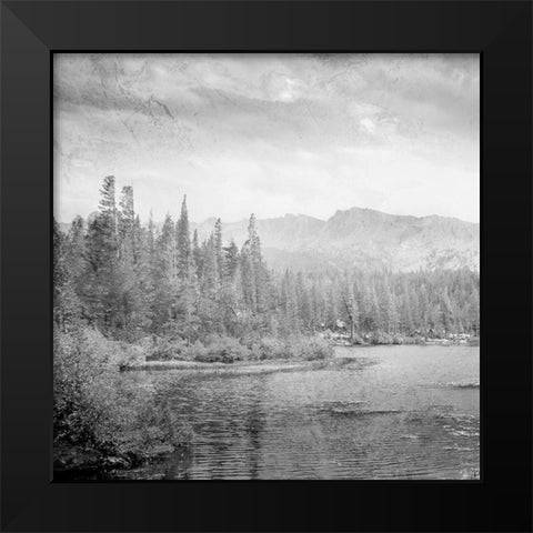 Vintage Wonders 1 Black Modern Wood Framed Art Print by Prime, Marcus