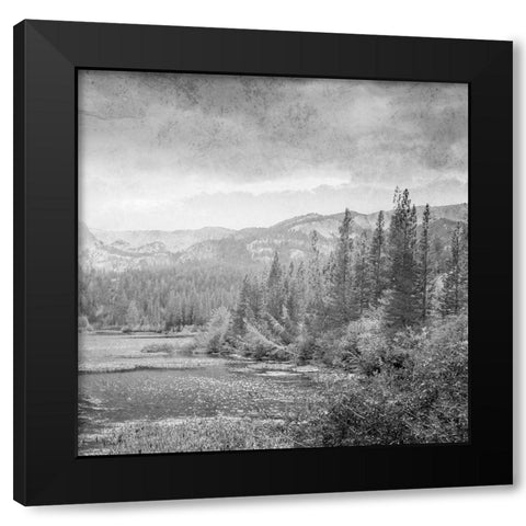 Vintage Wonders 2 Black Modern Wood Framed Art Print by Prime, Marcus