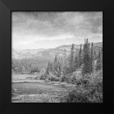 Vintage Wonders 2 Black Modern Wood Framed Art Print by Prime, Marcus
