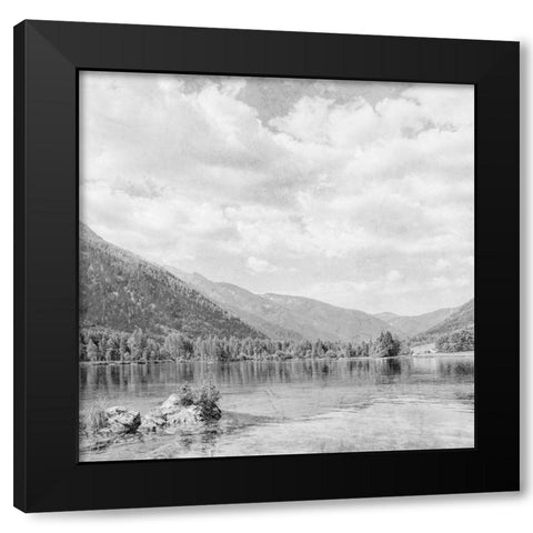 Vintage Wonders 4 Black Modern Wood Framed Art Print with Double Matting by Prime, Marcus