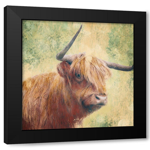 Furry Bull Black Modern Wood Framed Art Print with Double Matting by Prime, Marcus
