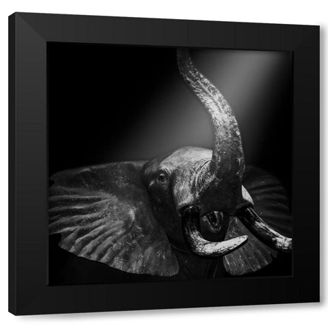 Beaming Safari Black Modern Wood Framed Art Print with Double Matting by Prime, Marcus
