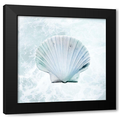 Seaside Infused Shell 1 Black Modern Wood Framed Art Print with Double Matting by Prime, Marcus