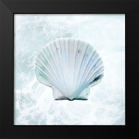 Seaside Infused Shell 1 Black Modern Wood Framed Art Print by Prime, Marcus