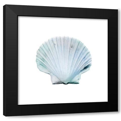 Seaside Shell 1 Black Modern Wood Framed Art Print by Prime, Marcus