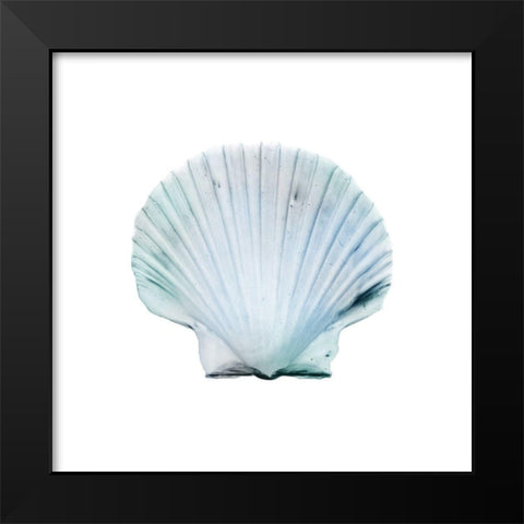 Seaside Shell 1 Black Modern Wood Framed Art Print by Prime, Marcus