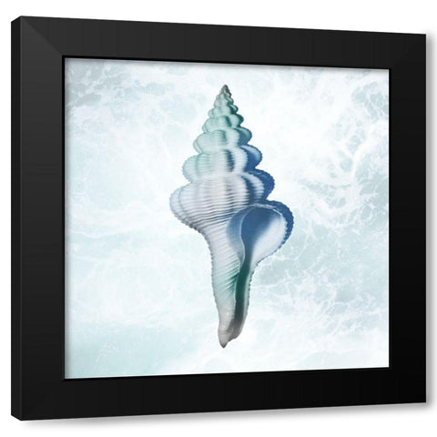 Seaside Infused Shell 2 Black Modern Wood Framed Art Print with Double Matting by Prime, Marcus