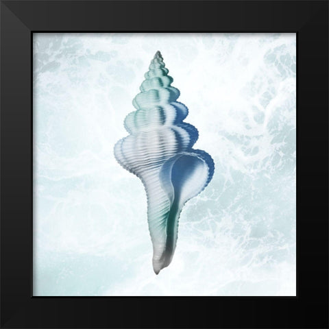 Seaside Infused Shell 2 Black Modern Wood Framed Art Print by Prime, Marcus