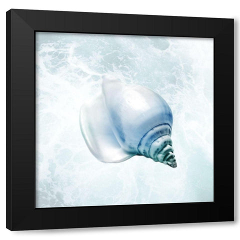 Seaside Infused Shell 3 Black Modern Wood Framed Art Print by Prime, Marcus