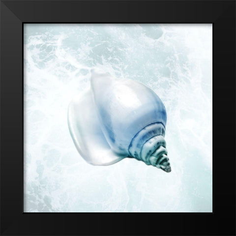 Seaside Infused Shell 3 Black Modern Wood Framed Art Print by Prime, Marcus