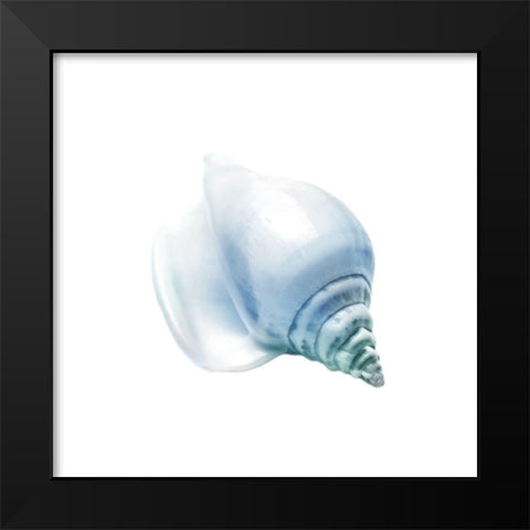 Seaside Shell 3 Black Modern Wood Framed Art Print by Prime, Marcus