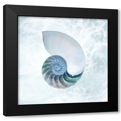 Seaside Infused Shell 4 Black Modern Wood Framed Art Print with Double Matting by Prime, Marcus