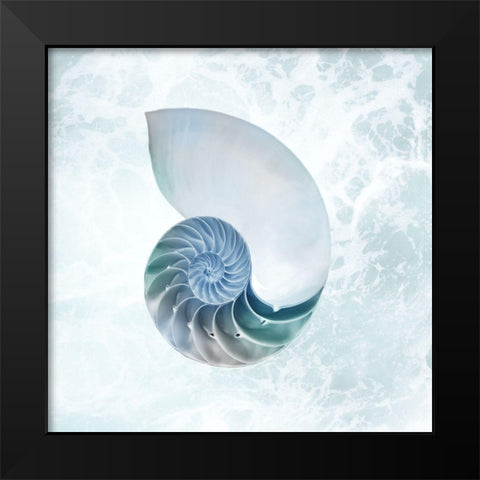 Seaside Infused Shell 4 Black Modern Wood Framed Art Print by Prime, Marcus