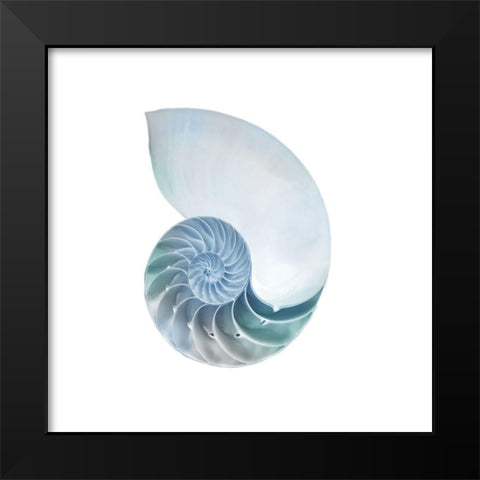 Seaside Shell 4 Black Modern Wood Framed Art Print by Prime, Marcus