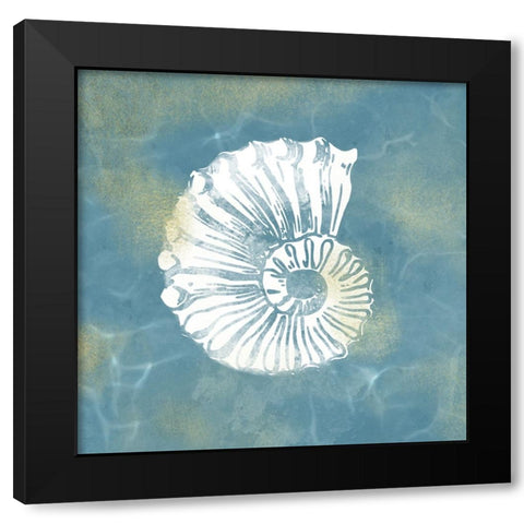Coastal Embellishment 3 Black Modern Wood Framed Art Print with Double Matting by Prime, Marcus