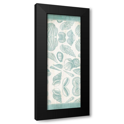 Sea Shells Black Modern Wood Framed Art Print with Double Matting by Villa, Mlli