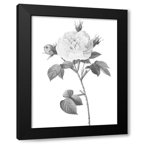 Greyscale Floral Two Black Modern Wood Framed Art Print with Double Matting by Villa, Mlli