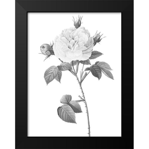 Greyscale Floral Two Black Modern Wood Framed Art Print by Villa, Mlli