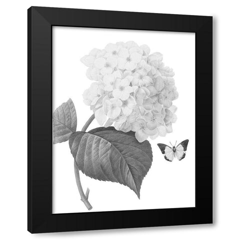 Greyscale Floral Four Black Modern Wood Framed Art Print with Double Matting by Villa, Mlli