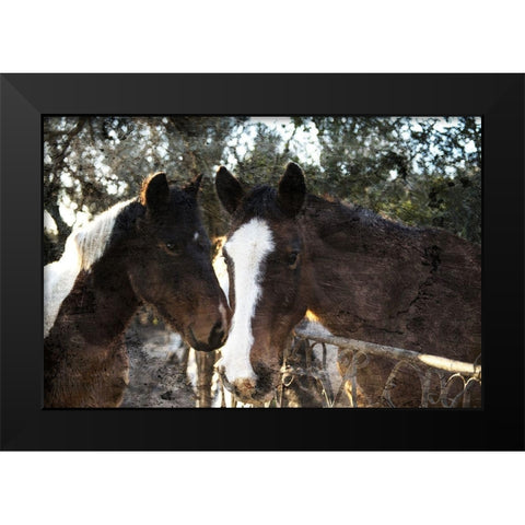 Horse Looks Black Modern Wood Framed Art Print by Villa, Mlli