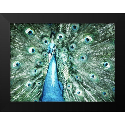 Looking Peacock Black Modern Wood Framed Art Print by Villa, Mlli