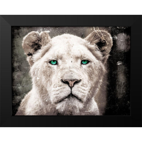 Lioness Look Black Modern Wood Framed Art Print by Villa, Mlli