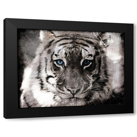 Tiger Look Black Modern Wood Framed Art Print by Villa, Mlli