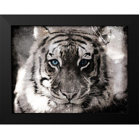 Tiger Look Black Modern Wood Framed Art Print by Villa, Mlli