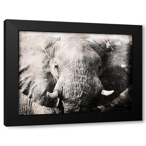 Elephant Look Black Modern Wood Framed Art Print with Double Matting by Villa, Mlli
