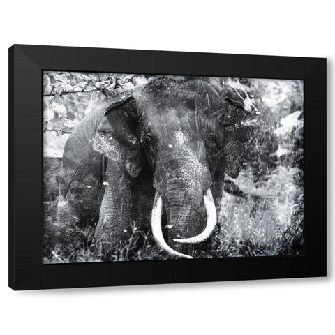 Elephant Look Two Black Modern Wood Framed Art Print with Double Matting by Villa, Mlli