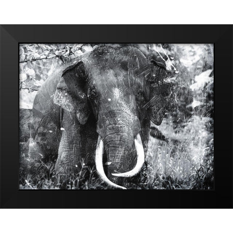 Elephant Look Two Black Modern Wood Framed Art Print by Villa, Mlli