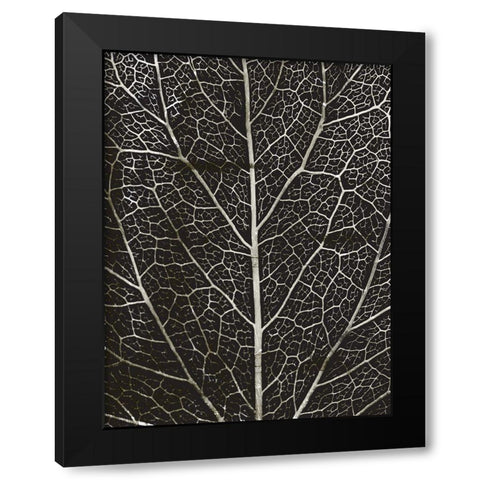 Charcoal Leaf Grain Black Modern Wood Framed Art Print with Double Matting by Villa, Mlli