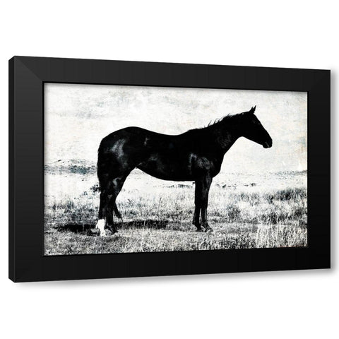 Horse Stance Black Modern Wood Framed Art Print by Villa, Mlli