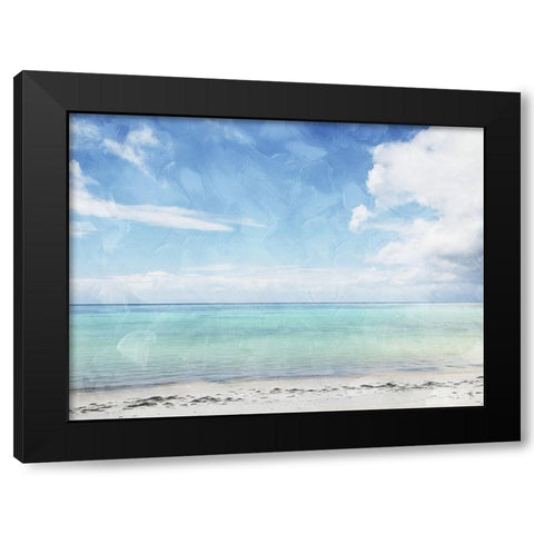 Sea Life Black Modern Wood Framed Art Print with Double Matting by Villa, Mlli