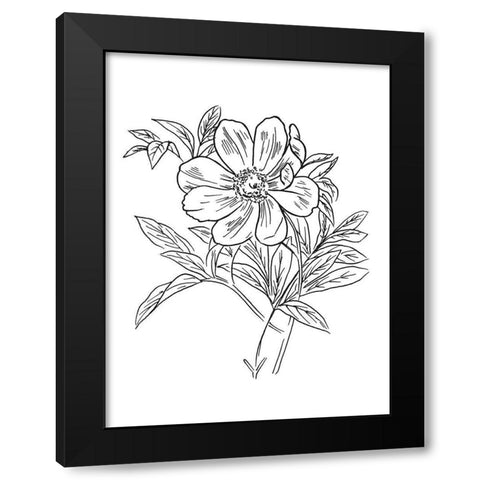 Lined Flowers Mate Black Modern Wood Framed Art Print with Double Matting by Villa, Mlli