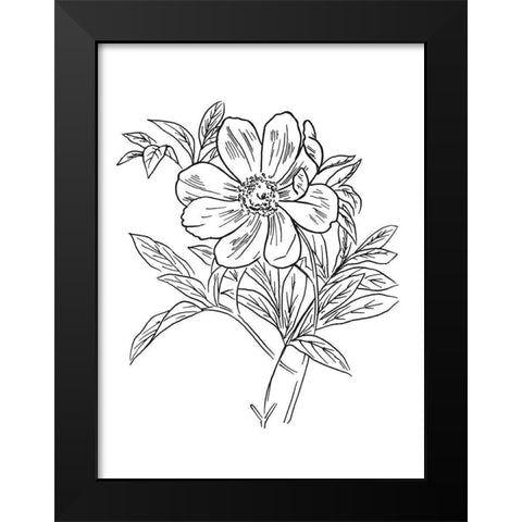Lined Flowers Mate Black Modern Wood Framed Art Print by Villa, Mlli