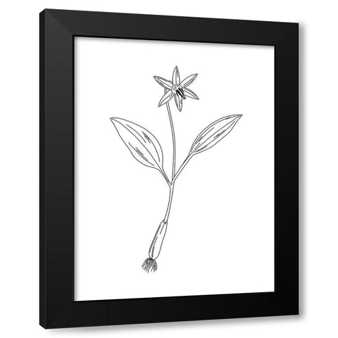 Clean Flowers Black Modern Wood Framed Art Print with Double Matting by Villa, Mlli