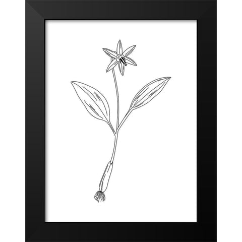 Clean Flowers Black Modern Wood Framed Art Print by Villa, Mlli