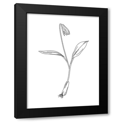 Clean Flowers Mate Black Modern Wood Framed Art Print with Double Matting by Villa, Mlli