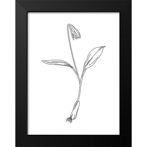 Clean Flowers Mate Black Modern Wood Framed Art Print by Villa, Mlli