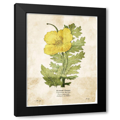 Flower Page Two Black Modern Wood Framed Art Print with Double Matting by Villa, Mlli
