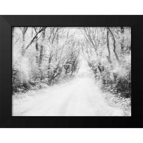 Snow Way Black Modern Wood Framed Art Print by Villa, Mlli