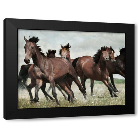 Running Horses 3 Black Modern Wood Framed Art Print by Villa, Milli