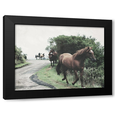 Horses Down The Street Black Modern Wood Framed Art Print with Double Matting by Villa, Milli